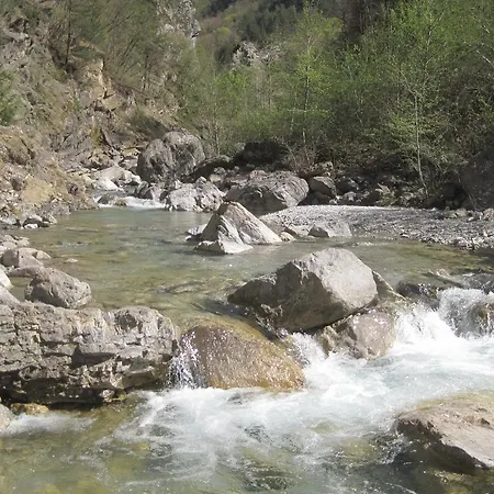 L'asinello Rampante