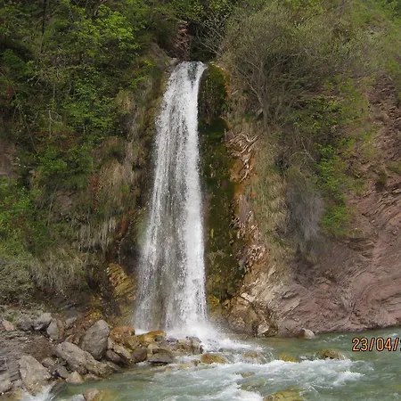 L'asinello Rampante 3* ארטה טרמה