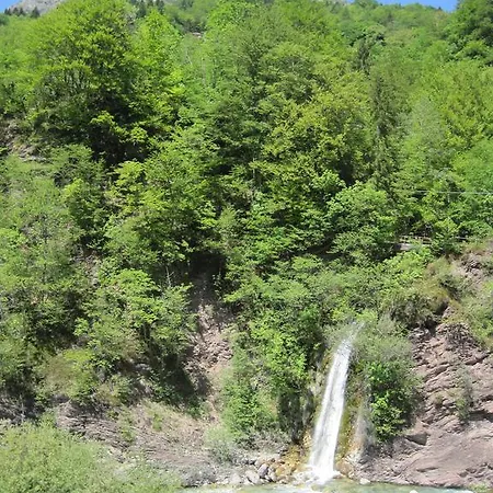 L'asinello Rampante 3*