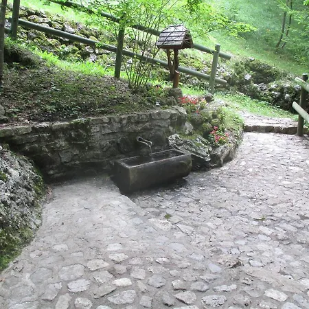 L'asinello Rampante Bed & Breakfast