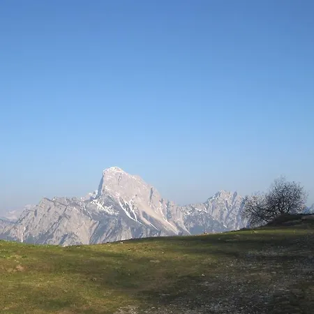 L'asinello Rampante 3*