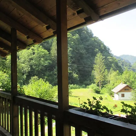 L'asinello Rampante 3*