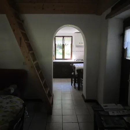 L'asinello Rampante ארטה טרמה